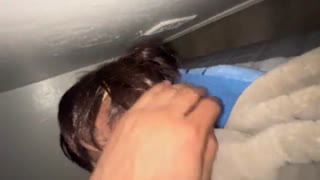 Stepbro's Ass Slams Hard in Dorm — Hardcore